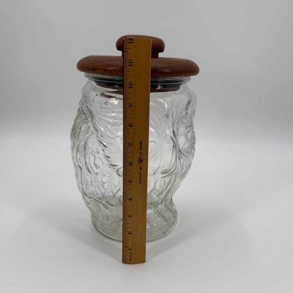 Vintage 70s Whimsical Glass Owl Kitchen Canister Storage Cookie Jar Teakwood Lid
